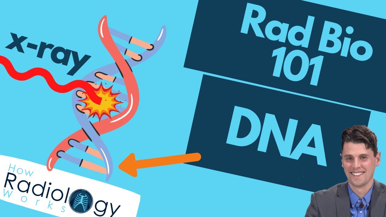 Single vs Double strand DNA Breaks (Rad Bio 101 for Technologists)
