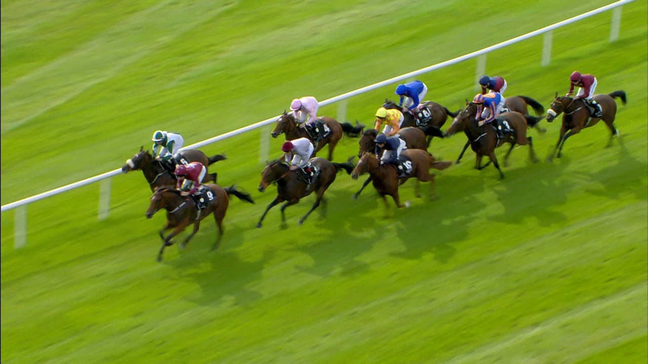 The Curragh - The Future
