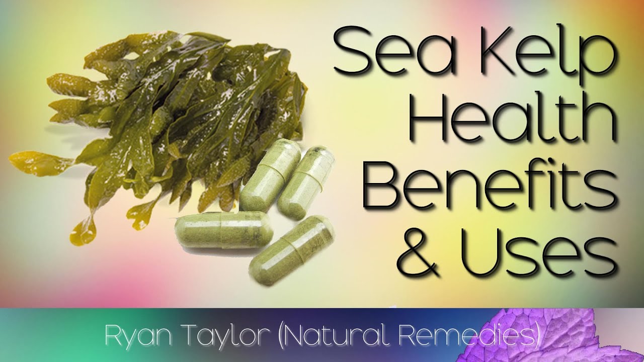 Sea Kelp: Benefits and Uses