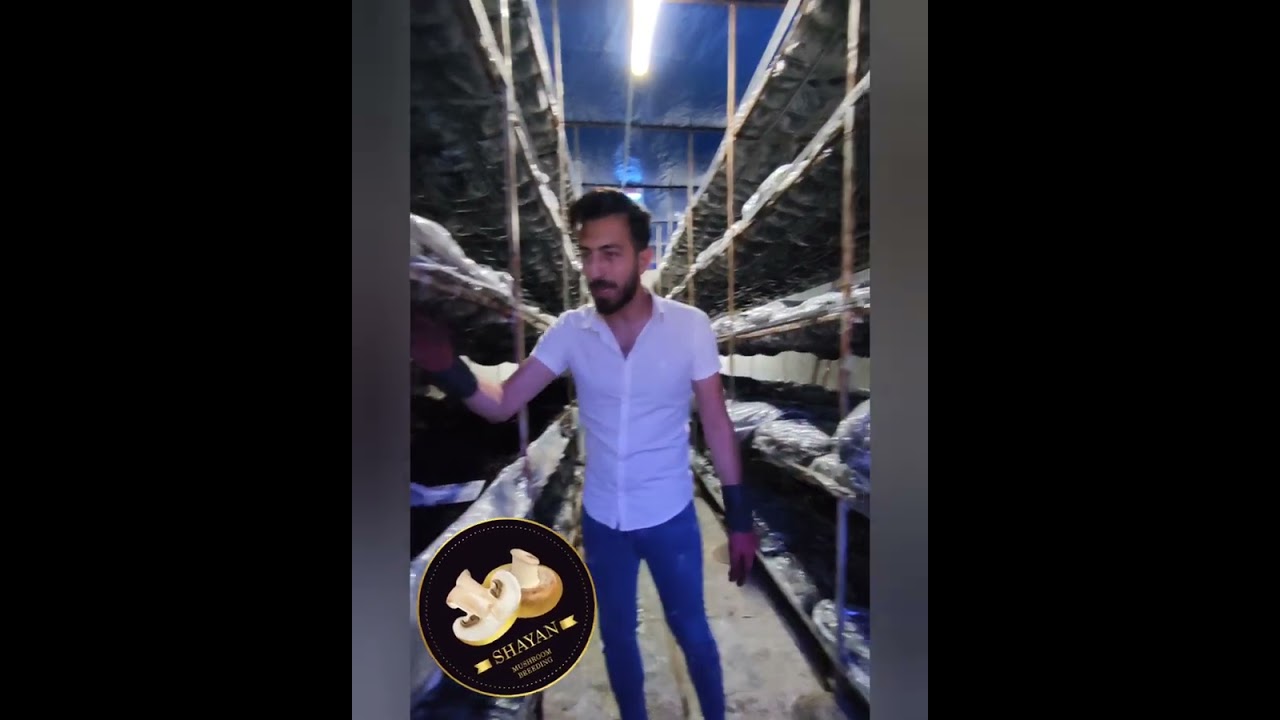 پرورش قارچ در تابستان۰۹۱۲۰۳۴۲۵۷۳