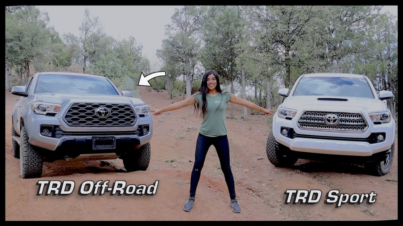 Why I Bought the TRD Off-Road over the TRD Sport | 3rd Gen Tacoma Battle