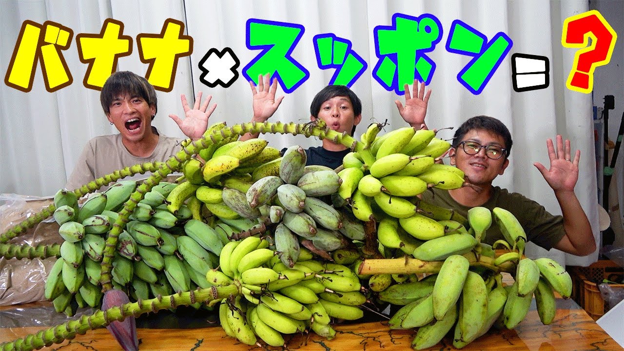 【2本立てｗ】スッポン養殖場にいる子亀救出＆熱帯果樹のプロとバナナで餌作り！！