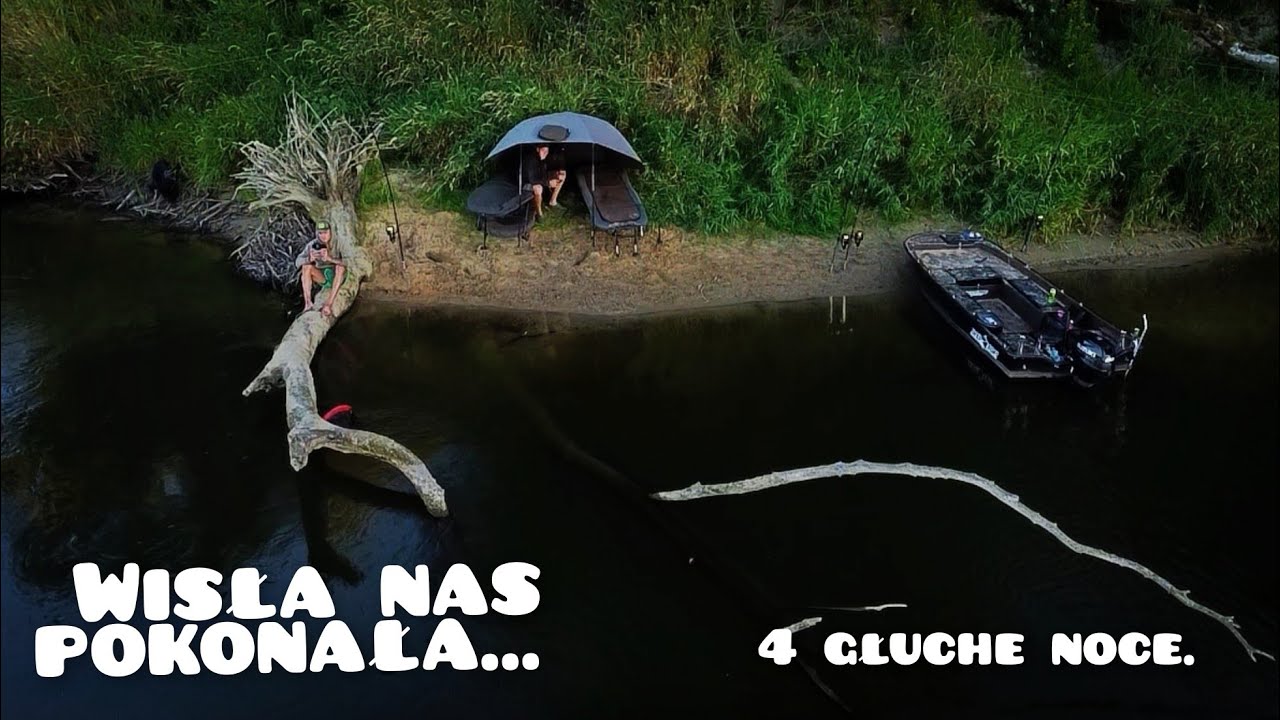 Zasiadka sumowa. Rzeka Wisła. 4 głuche noce. #wędkarstwo #fishing #passion