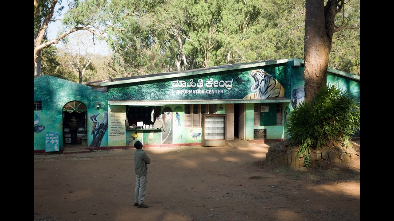 Bangalore to BR Hills(Biligiriranga Hills): A Complete Wildlife Weekend Getaway