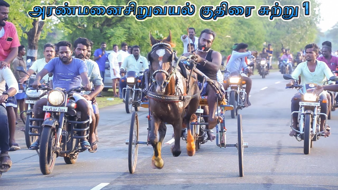 அரண்மனைசிறுவயல் குதிரை 1 || 11.10.2022 || V Photography #horseracing