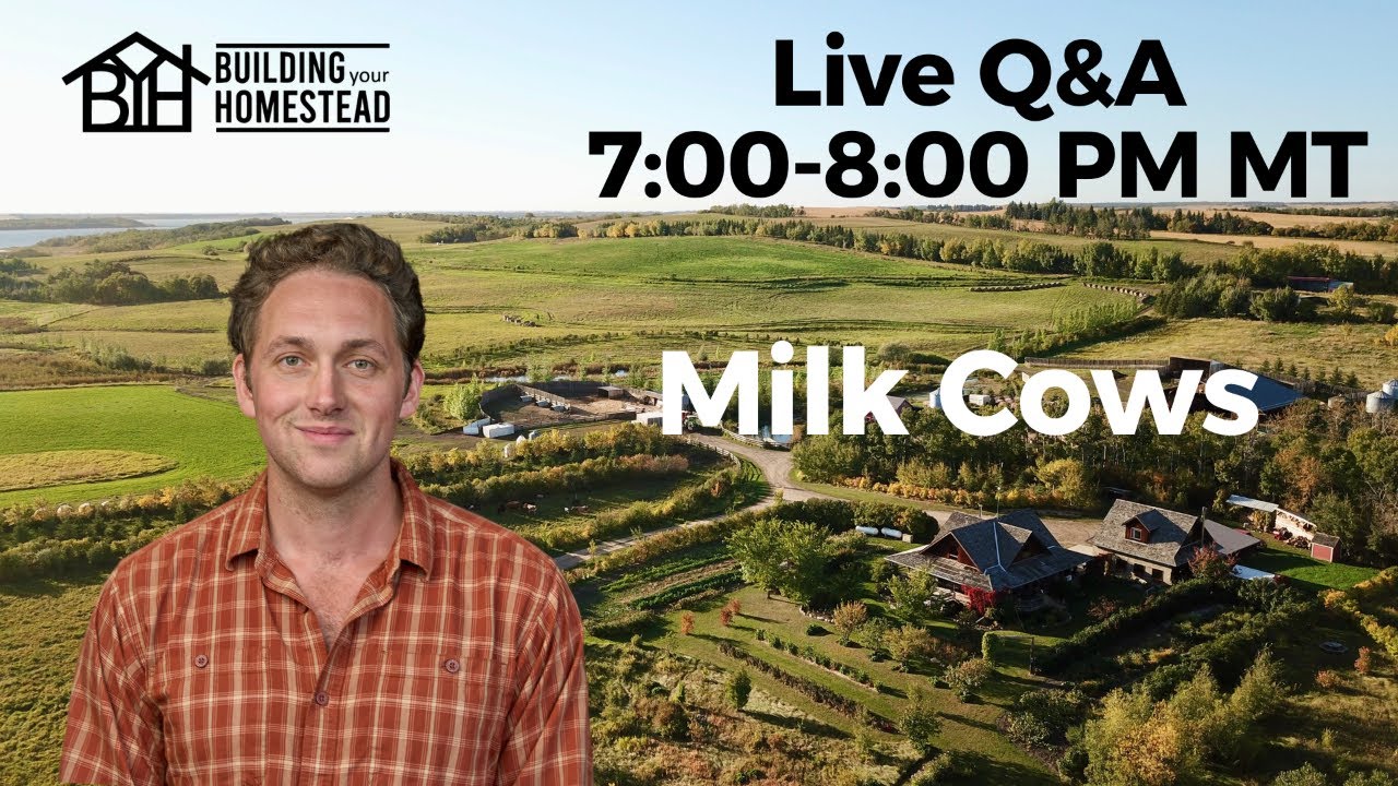 LIVE Q&A: Milk Cows