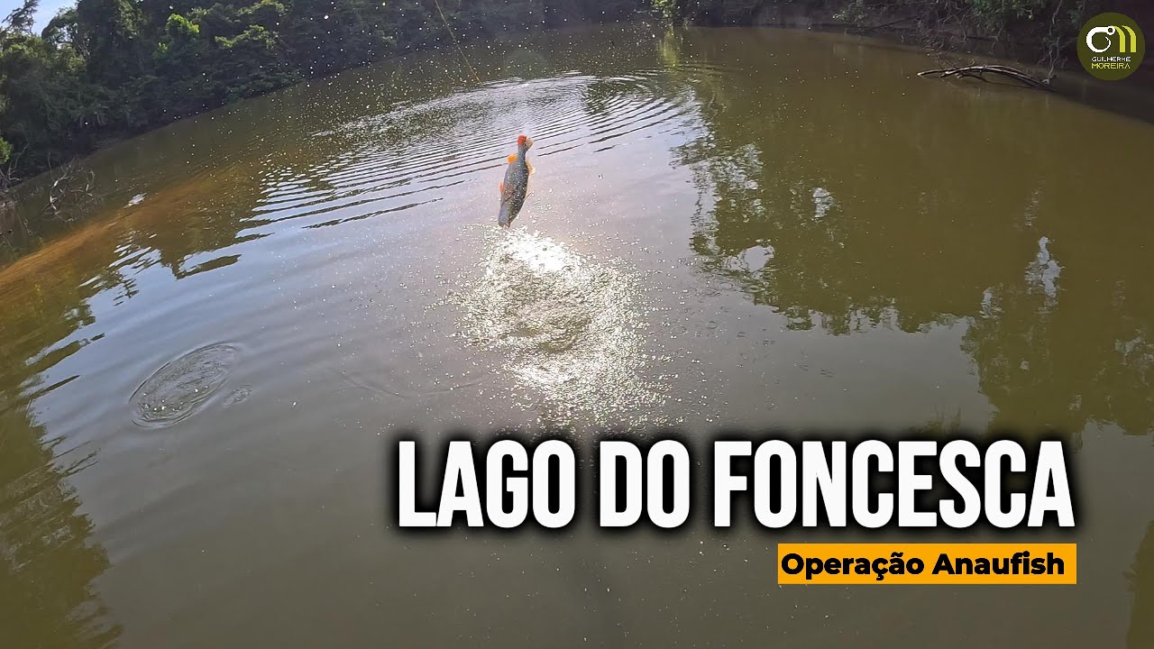 Dia Pesado de Pescaria no Lago do Fonseca – Operação Anauáfish