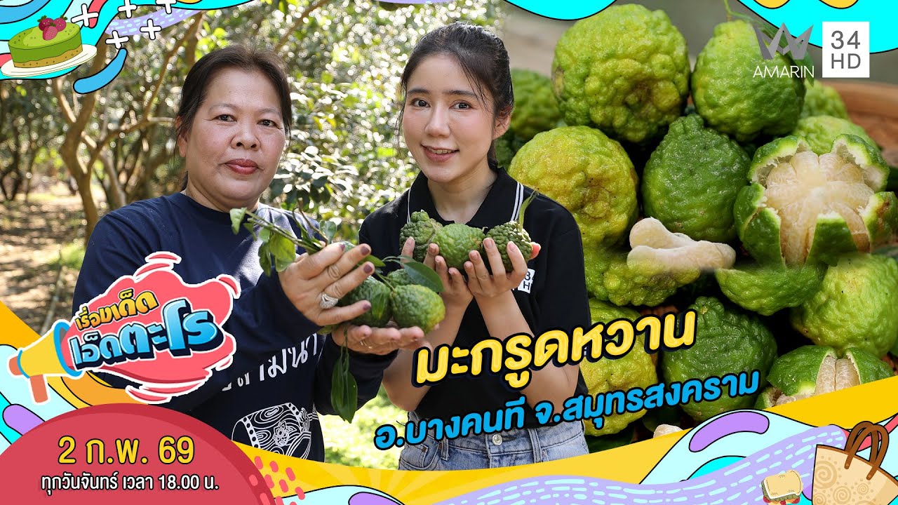 มะกรูดหวาน อ.บางคนที จ.สมุทรสงคราม | เรื่องเด็ดเอ็ดตะโร | 2 ก.พ. 69 (3/4)