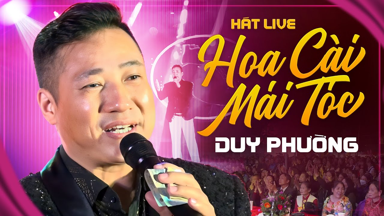 Hoa C&agrave;i M&aacute;i T&oacute;c - Duy Phường