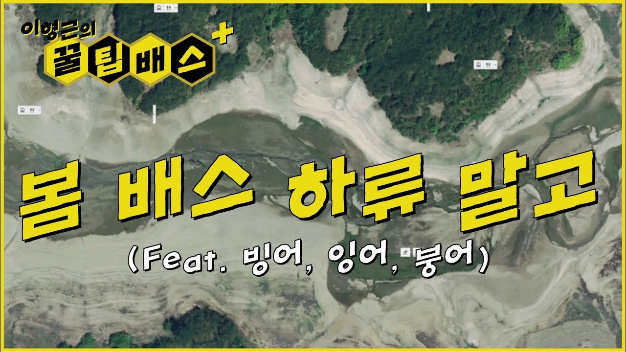 [꿀팁배스 Ep63] 봄 배스 하류 말고 Feat. 빙어, 잉어, 붕어 (Plus)