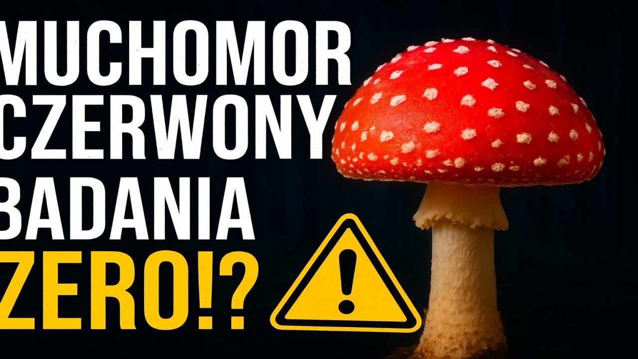 Muchomor czerwony 🍄 fascynuje, ale nauka wciąż BOI SIĘ go badać❗❓ 🔬🧪🔥