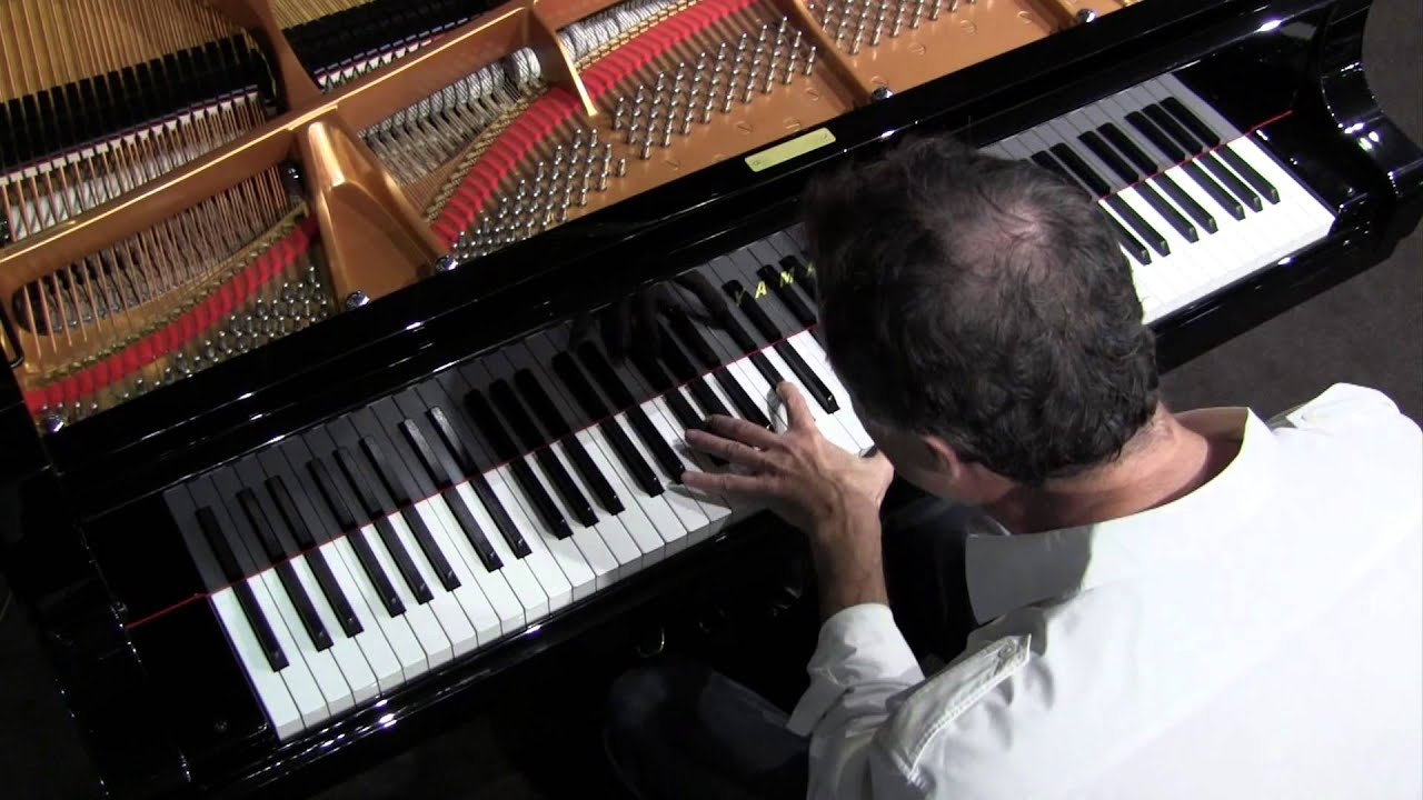 Perdido - Dan Delaney Jazz Trio