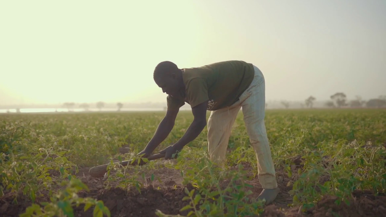 The Tomato Jos Processing Plant Groundbreaking Event