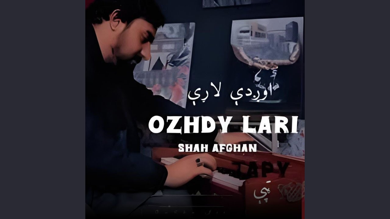 Ozhdy Lari Tapy