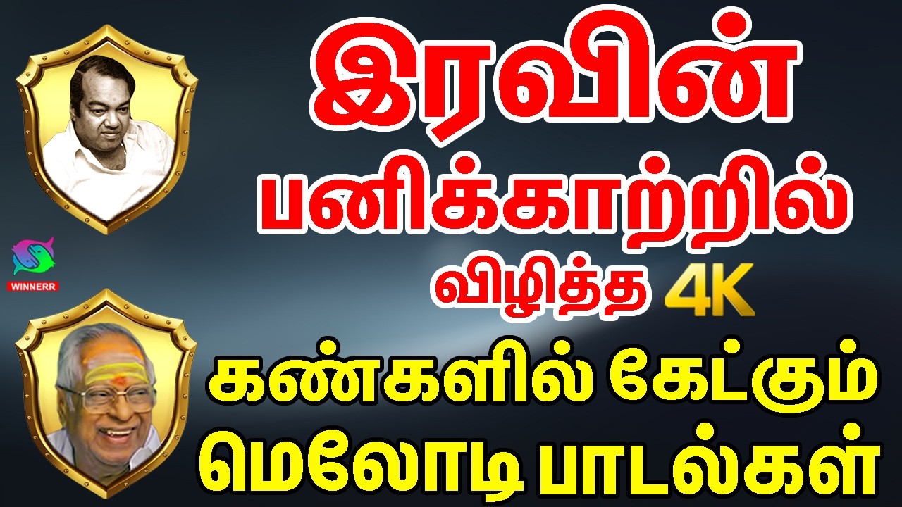 இரவின் பனிக்காற்றில் விழித்த கண்களில் கேட்கும் மெலோடி பாடல்கள் | Kannadasan - MSV Palaiya Padalgal