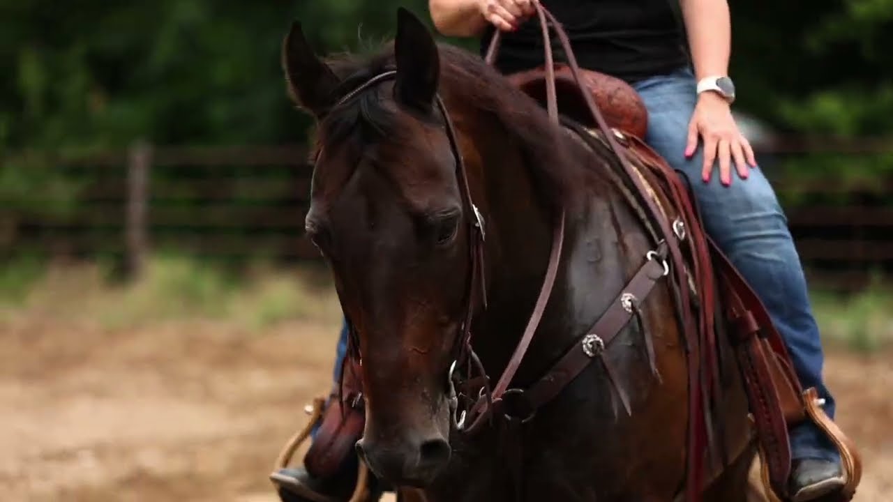 LF DOC HOLLIDAY - “Max”