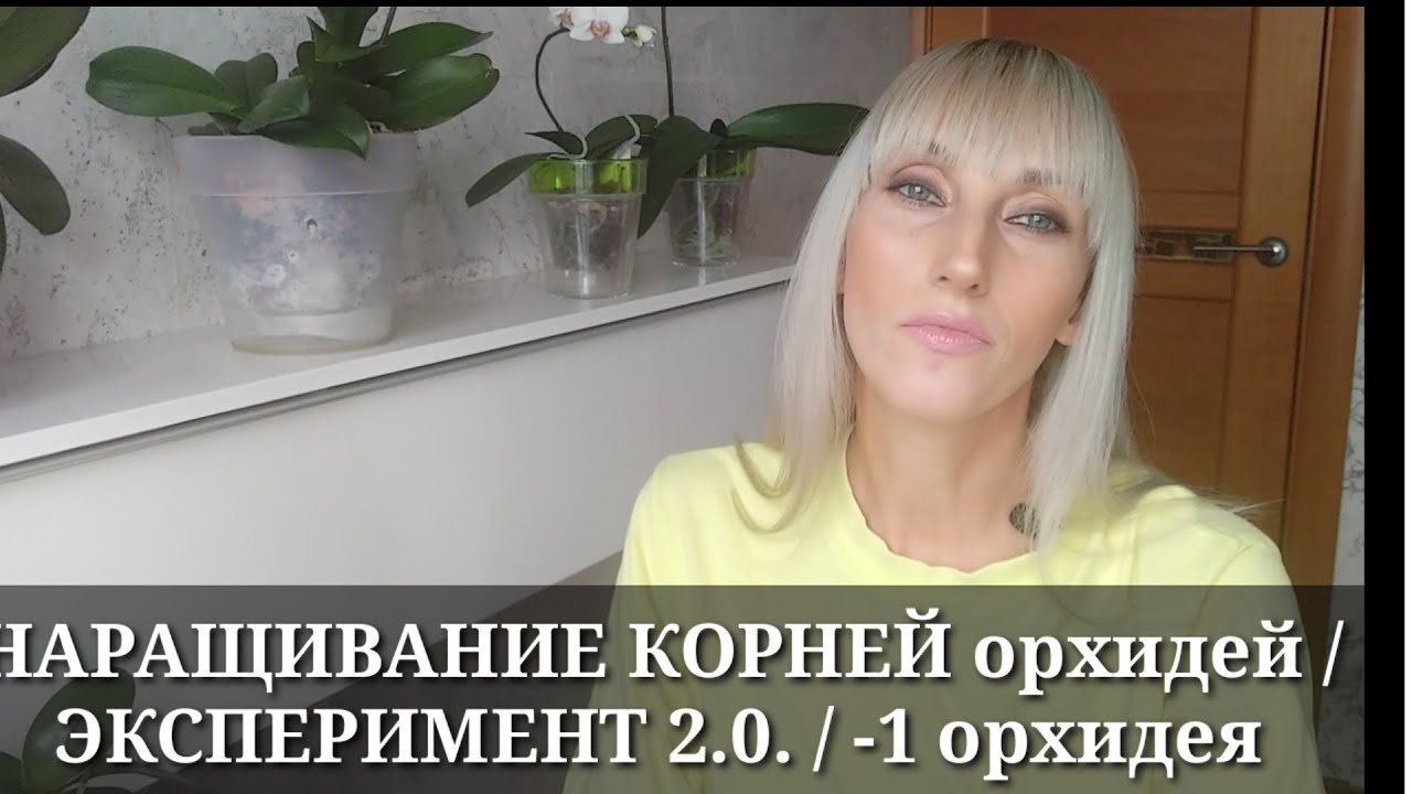 НАРАЩИВАНИЕ КОРНЕЙ орхидей В ПЕРЛИТЕ / НАРАЩИВАНИЕ КОРНЕЙ орхидеи ВО МХЕ / Эксперимент 2.0