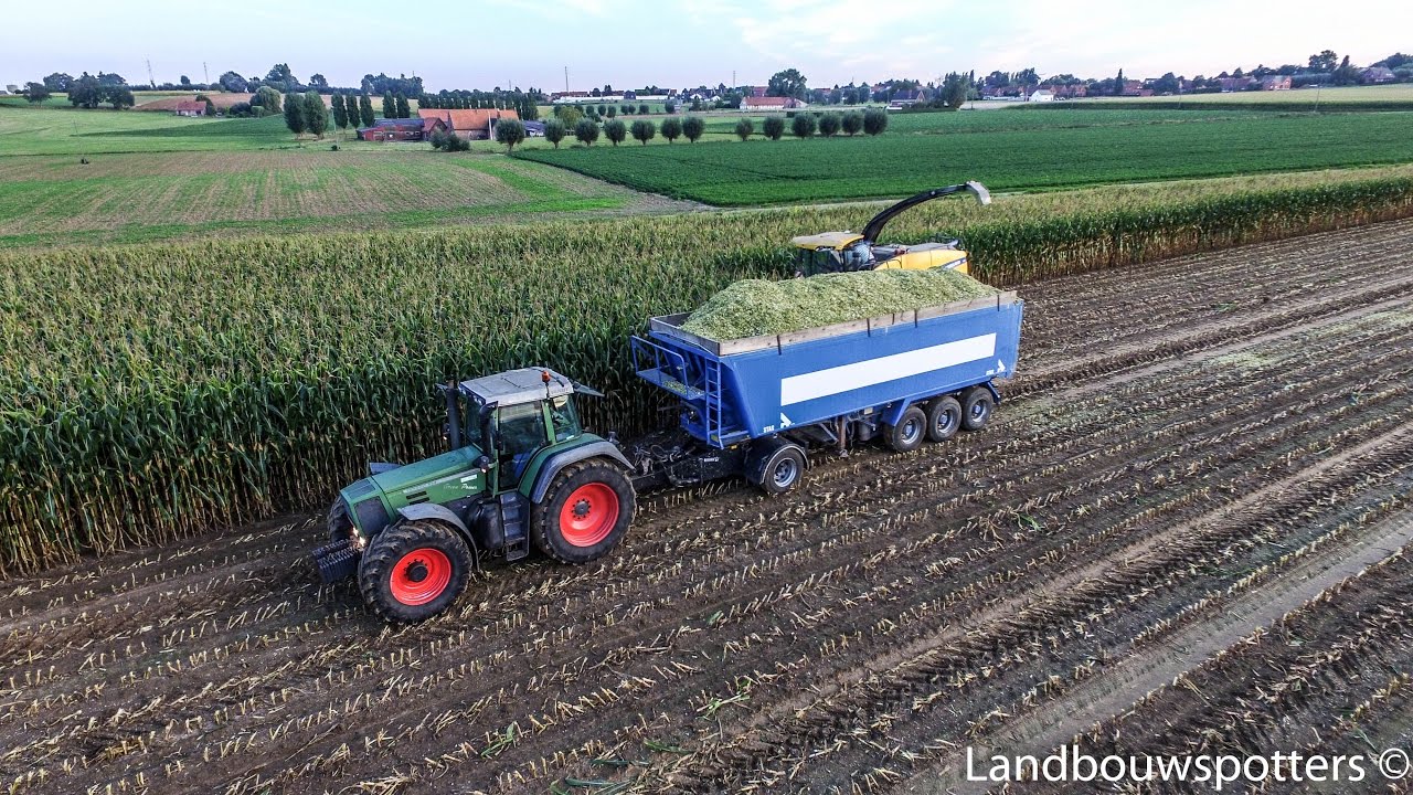 New Holland FR700 mais hakselen - Lavaert - DJI Phantom 3