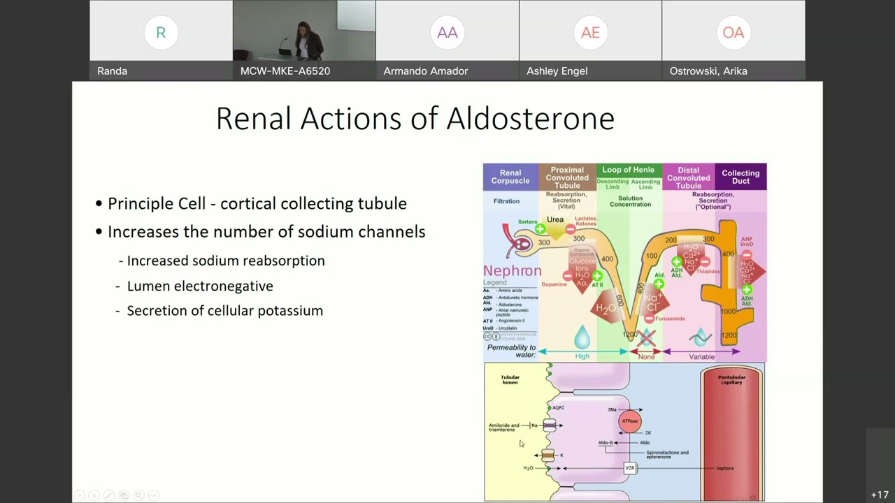 Hyperaldosteronism Etiology & Pathophysiology