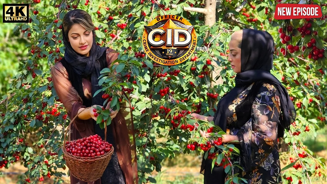 CID New Episode 2026 | CID | सीआईडी | True Crime Story | Most Papular | Crime Series | CID Thriller