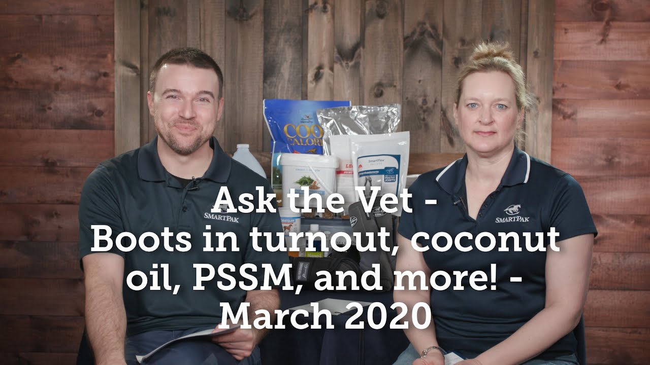 Ask the Vet - Boots in turnout, coconut oil, PSSM, and more! - March 2020