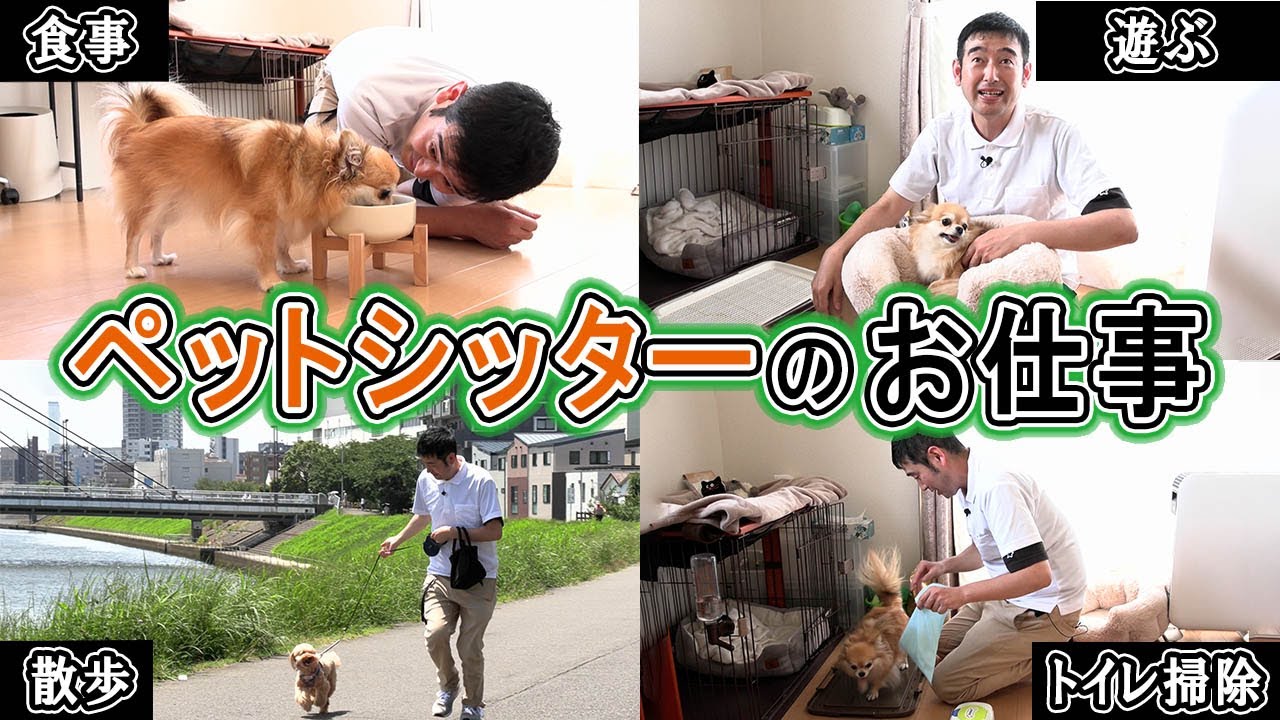 ワンコの希望に合わせてお世話するペットシッター