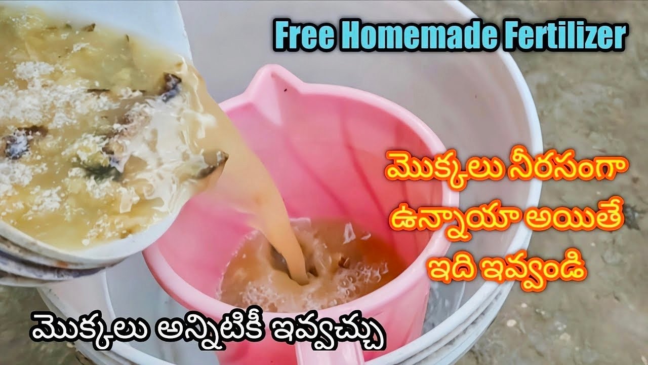 అద్భుతమైన ఫర్టిలైజర్ మొక్కలు అన్నిటి కోసం|How to Make Banana Liquid Fertilizer #Fertilizer #viral