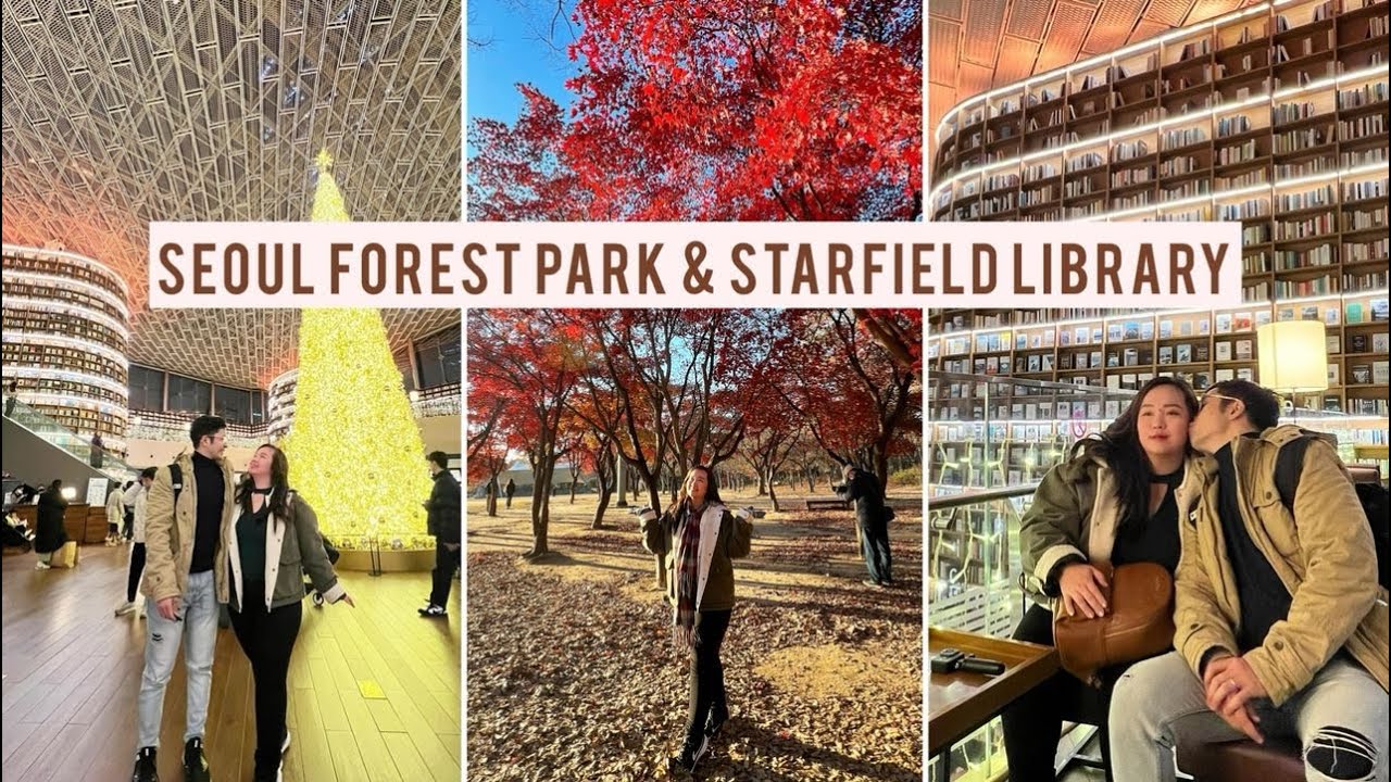 Seoul Forest Park (Autumn) - Starfield Library (November) - Hong Dae Shopping | BooJooAdventures