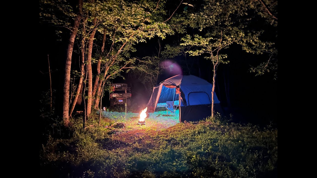 Spring River  Primitive  Catfish Camping  Porterhouse Steak