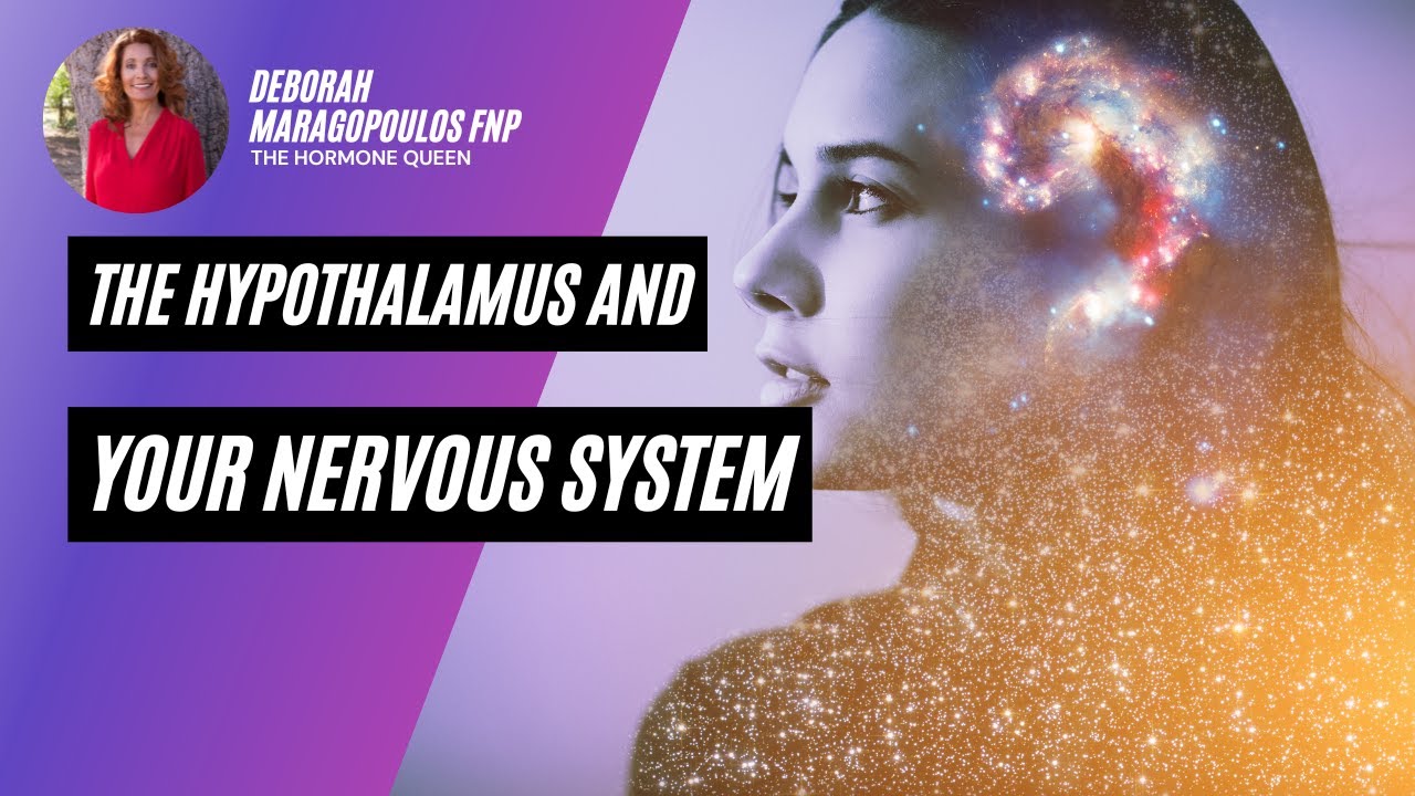 How Your Hypothalamus Controls Your Nervous System | Emotions, Motivation, and Body Function
