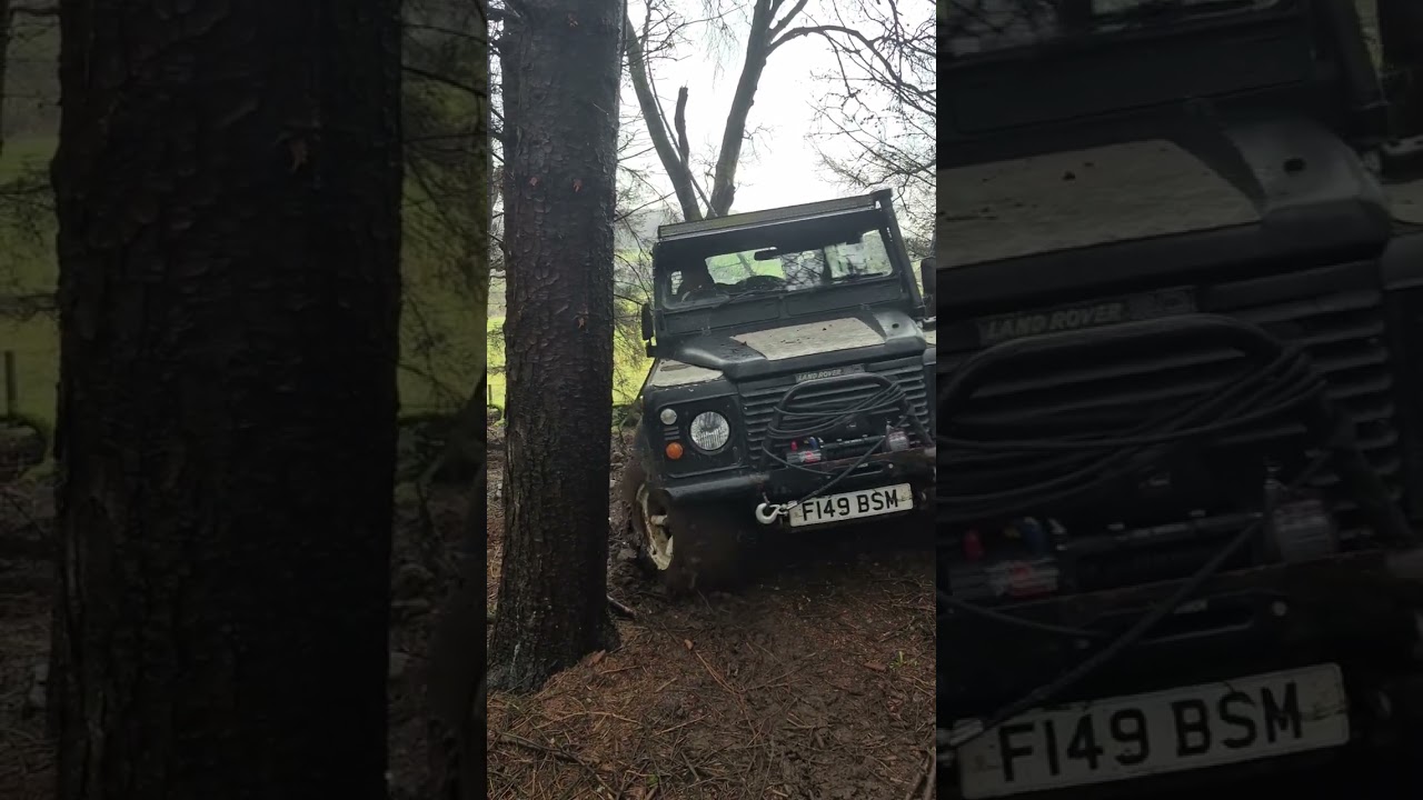 8/2/2026 muddy day in the woods at lumphanan pay and play 