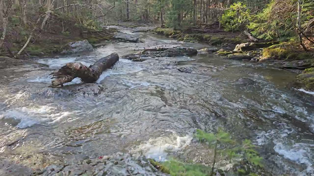 Rivi&egrave;re avec bon D&eacute;bit d'Eau et &Eacute;coulement