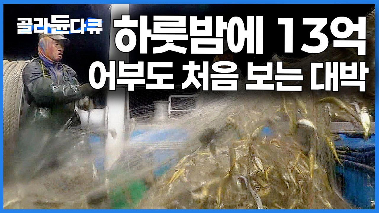 이게 말이 되나. 한 상자 100만 원인데.. 선장님도 놀라서 뛰쳐나온 역대급 대박의 날｜참조기 만선｜극한직업｜#골라듄다큐