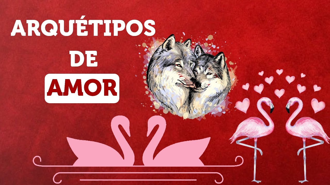 DIFERENTES FREQUÊNCIAS DE AMOR: CASAL DE LOBOS, CASAL DE FLAMINGOS E CASAL DE CISNES
