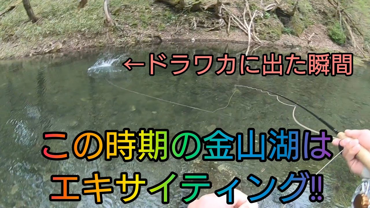 僕達のハッピーデイズ ～とある河川・金山湖～ ③