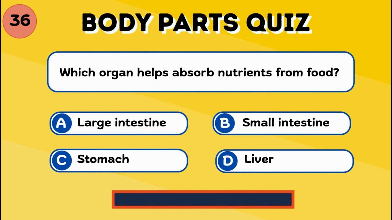 Body Parts Quiz | Learn Human Body Parts Easily
