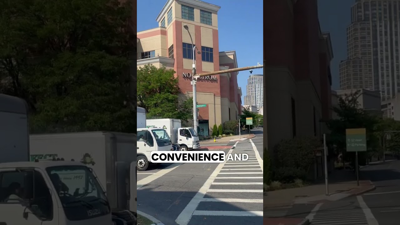 White Plains, NY | Suburban Jungle