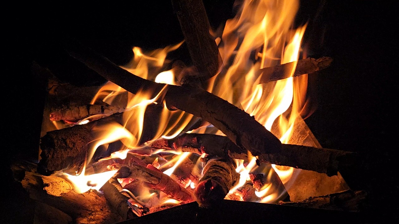 Staring firewood. (23:07 - 4K)