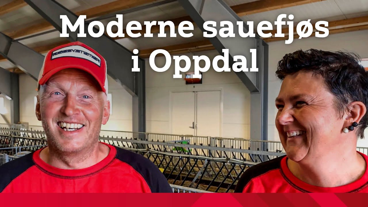 Smarte løsninger i moderne sauefjøs hos Tove Godtland og Bent Inge Hoel