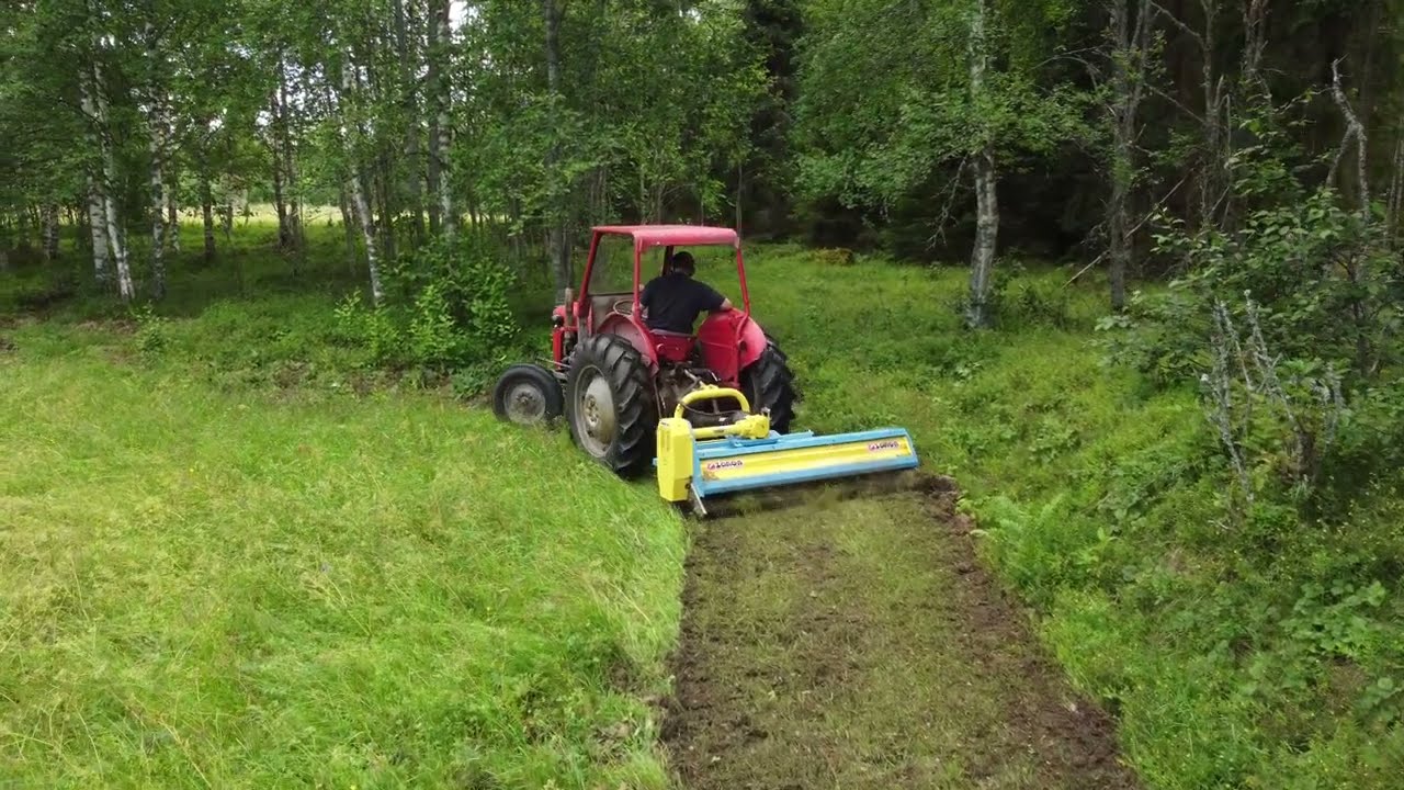 Massey Ferguson 35 med betesputs