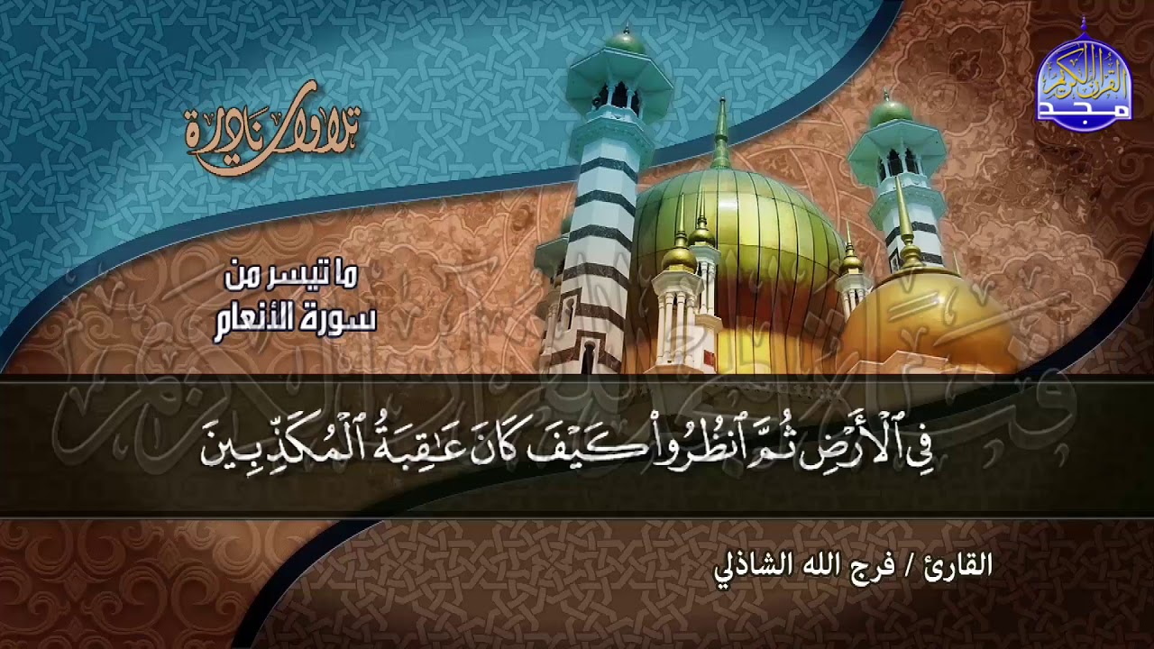 صوت يحنن القلوب الى علام الغيوب | من سورة 