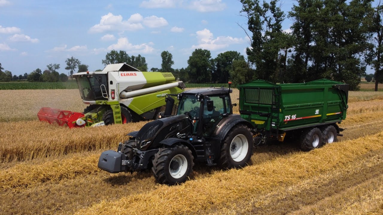 Małe żniwa 2024🔥Jęczmień sypię ponad 5t | Claas Tucano 320
