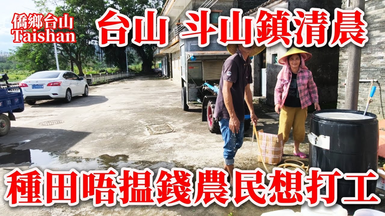 台山 Toisan 斗山鎮鄉間公路清晨風光秀美丨從山頸圩開車到斗山圩吃早餐便宜又好吃丨現代農民大吐苦水生活成本大丨種田不如去打工丨2025年10月29日更新 #chinavillagelife