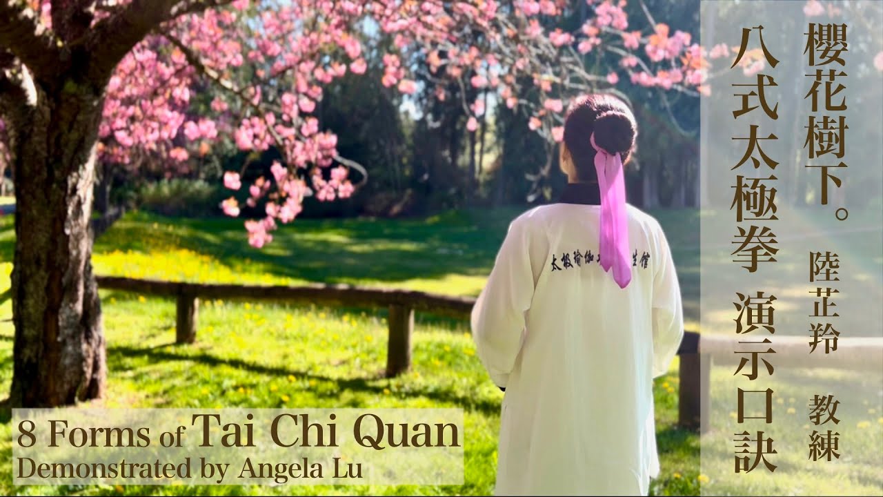 八式太極拳正面演示口訣 8 Forms of Tai Chi Quan with English Titles八式太極拳全套示範教學