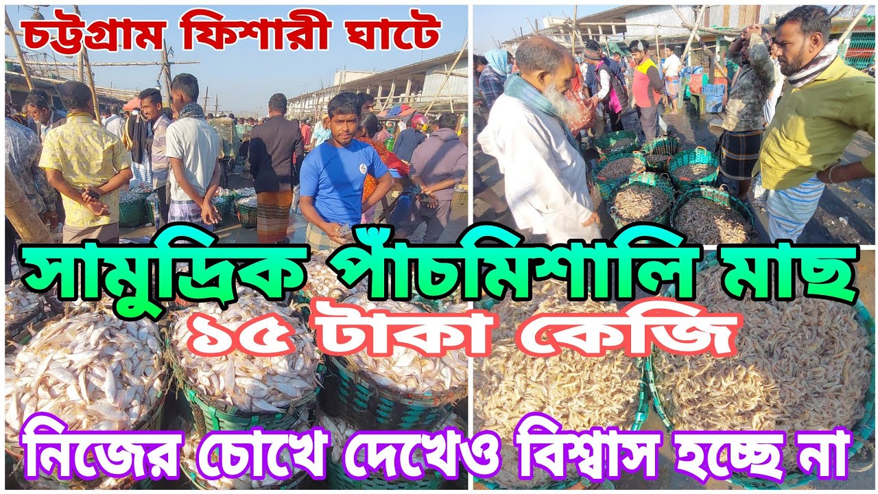 চট্টগ্রাম ফিসারি ঘাটে সামুদ্রিক পাঁচ মিশালি মাছ ১৫ টাকা কেজি।Sea Fish||Fishery Ghat||Aromatic SR