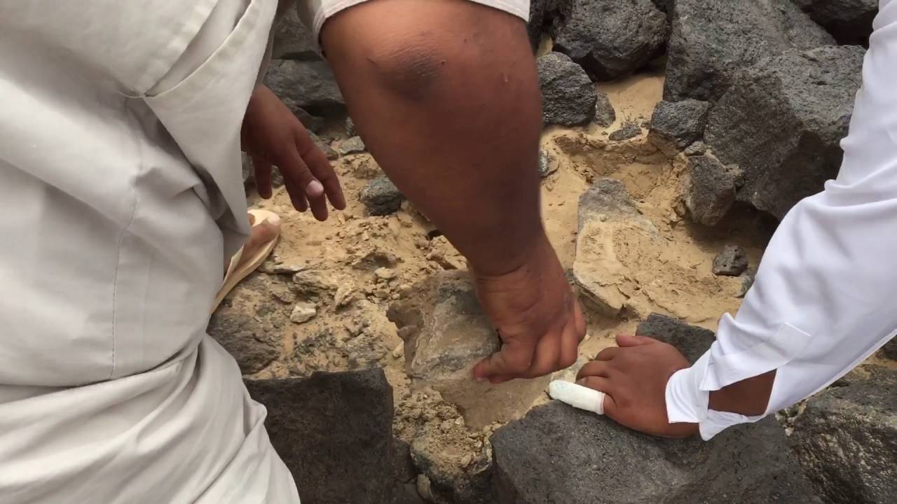 صدنا ضب طلع ضبين فلم اكشن