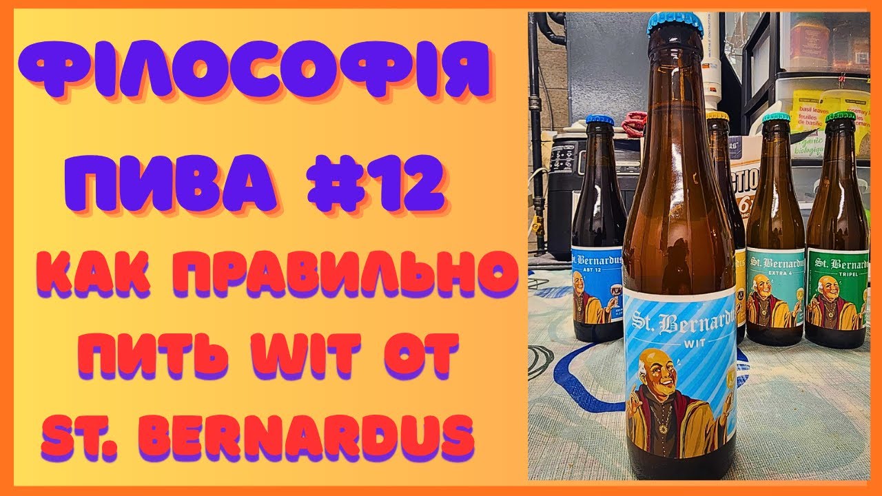 Философия пива #12 | Как правильно пить St. Bernardus Wit