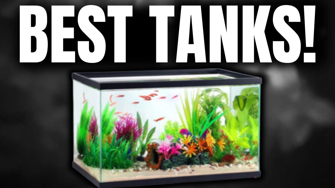 Ranking the BEST Aquarium Sizes for Beginners
