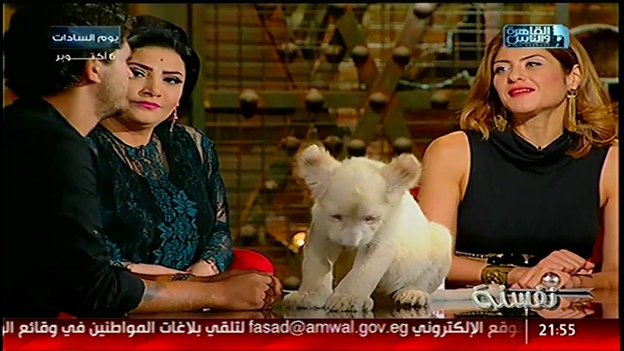 نفسنة | لقاء مع مدرب الأسود أشرف الحلو