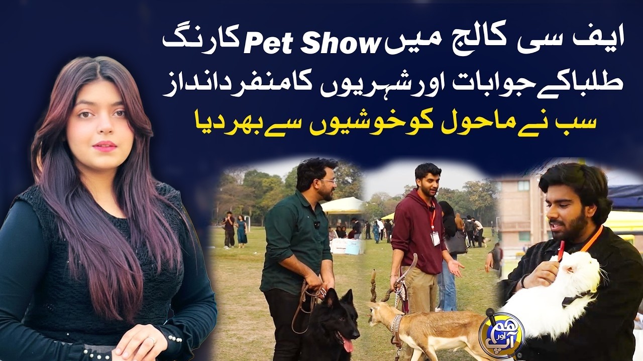 Pet Show Ka Rang,Tulba K Jawabat Or Shario Ka Munfrid Andaz | Hum Aur Aap | 19 Feb 2026 | City 42